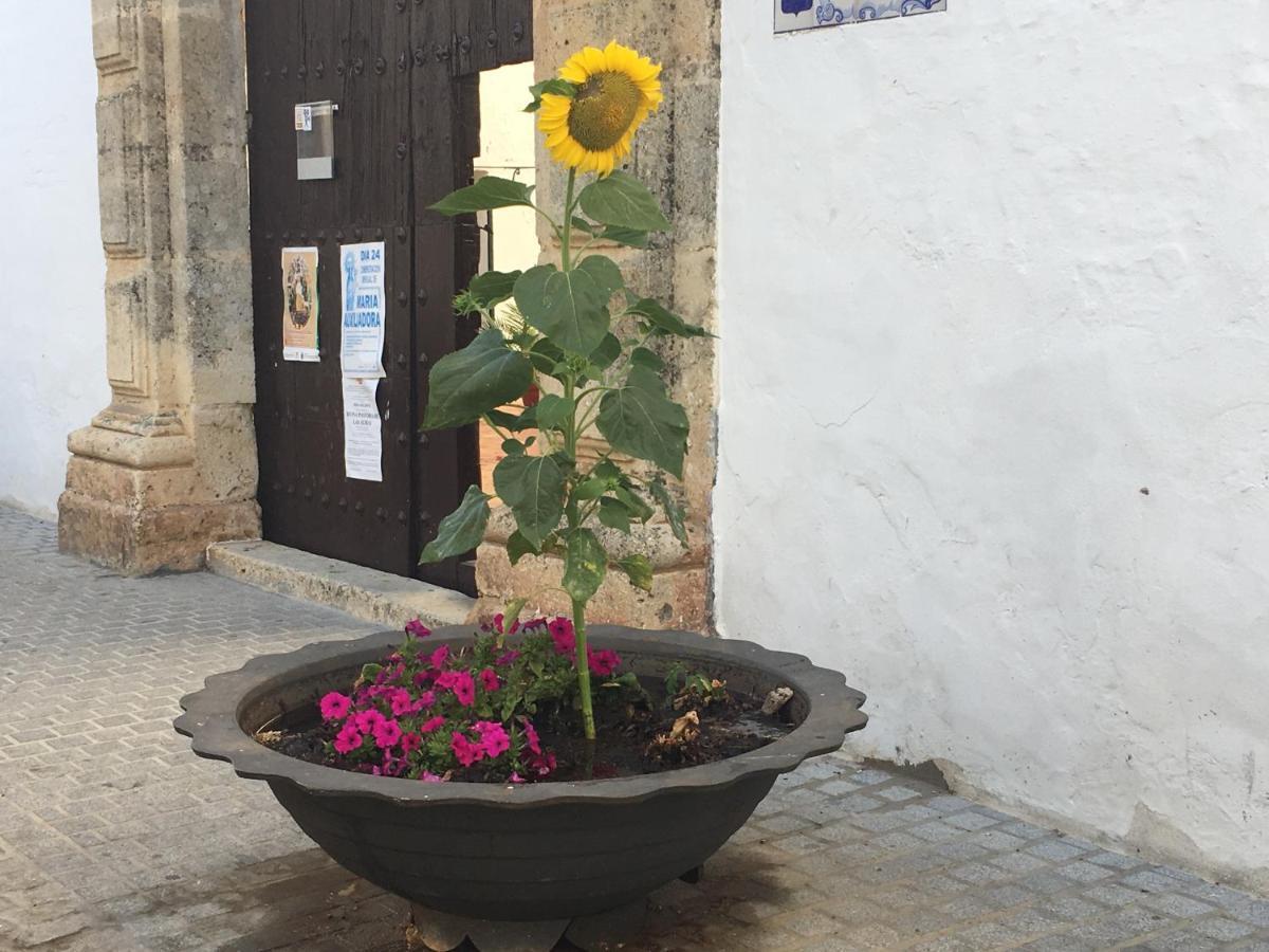 卡莫纳Tourist House Santa Maria De Gracia公寓 外观 照片
